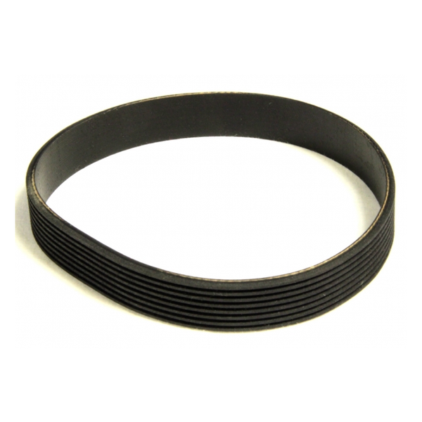 clarke-advance-poly-belt_-